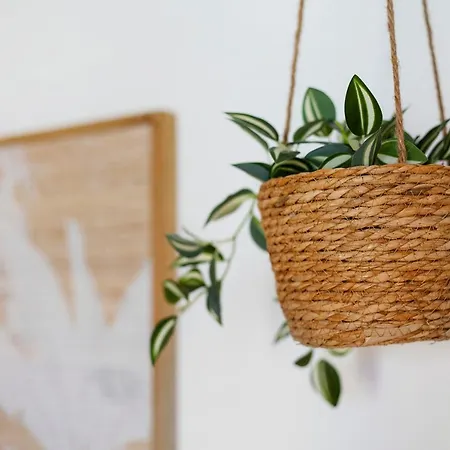 Apartamento Leo *